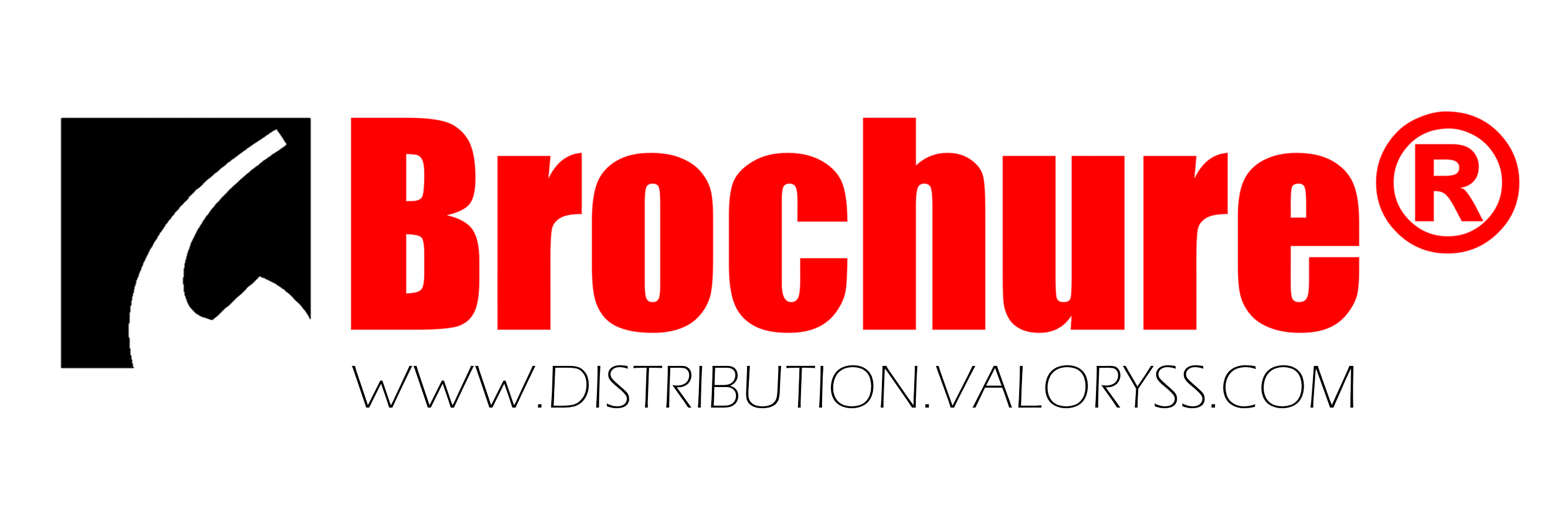 logo BROCHURE